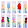 Feather pen ( Assorted )